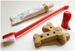 Peralatan dan bahan yang digunakan untuk menyikat gigi anjing