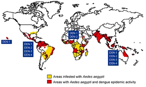 Penyebaran infeksi virus dengue di dunia