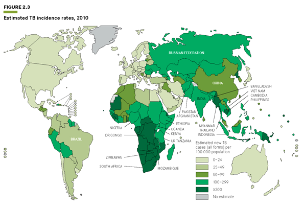 Perkiraan tingkat insidensi TB tahun 2010
