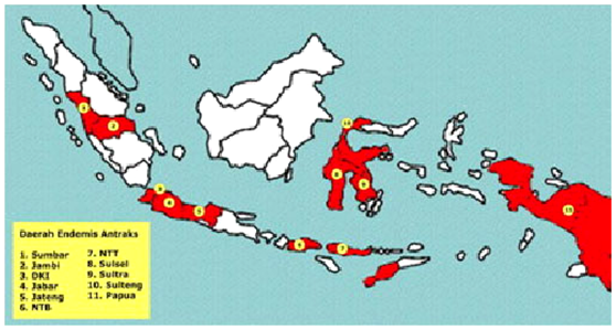 kasus anthrax di indonesia2